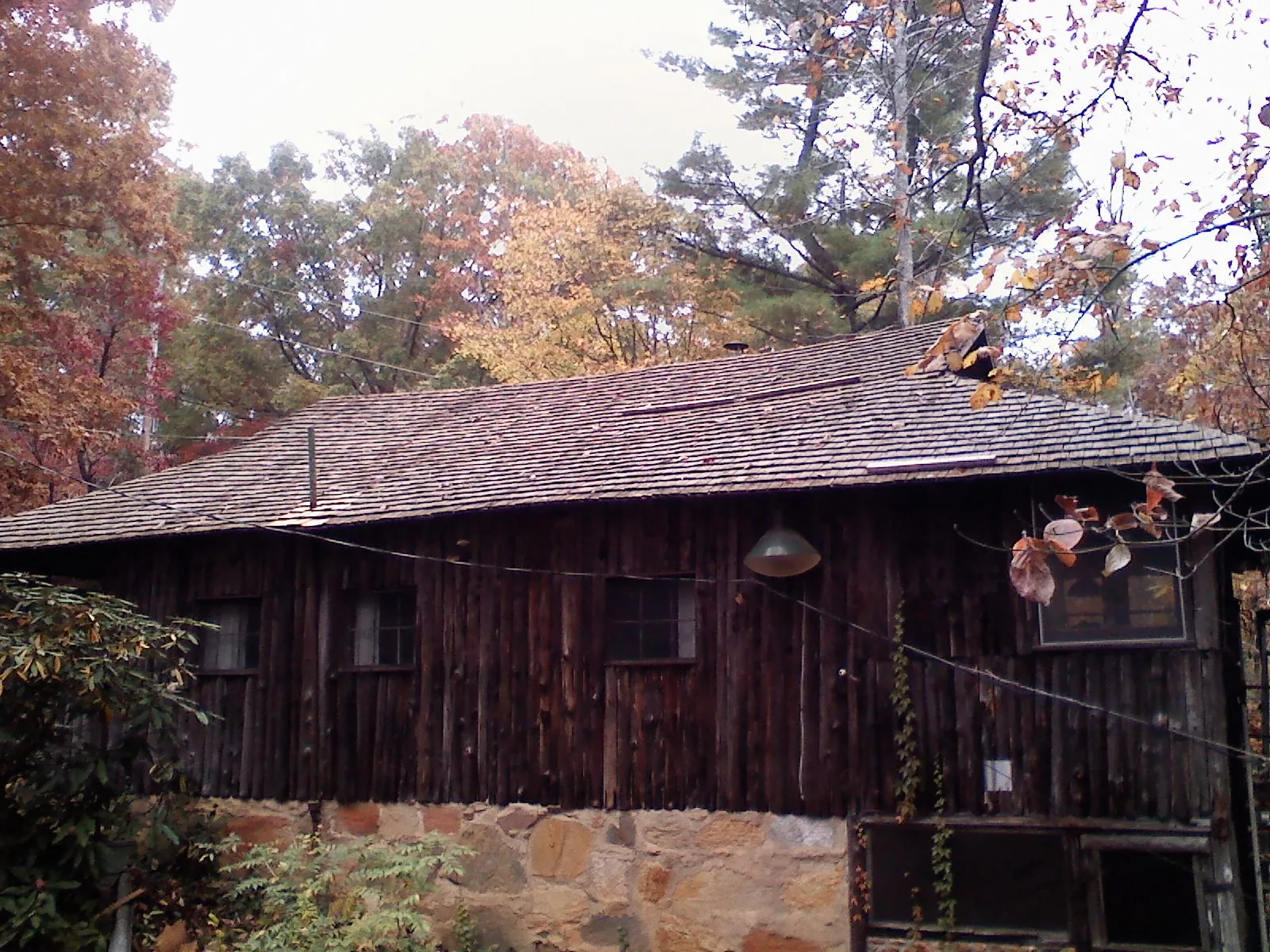 Weathered wood shake roof on a rustic board sided cabin in Lowpoint